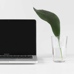 WEBSITE DESIGN REVAMP